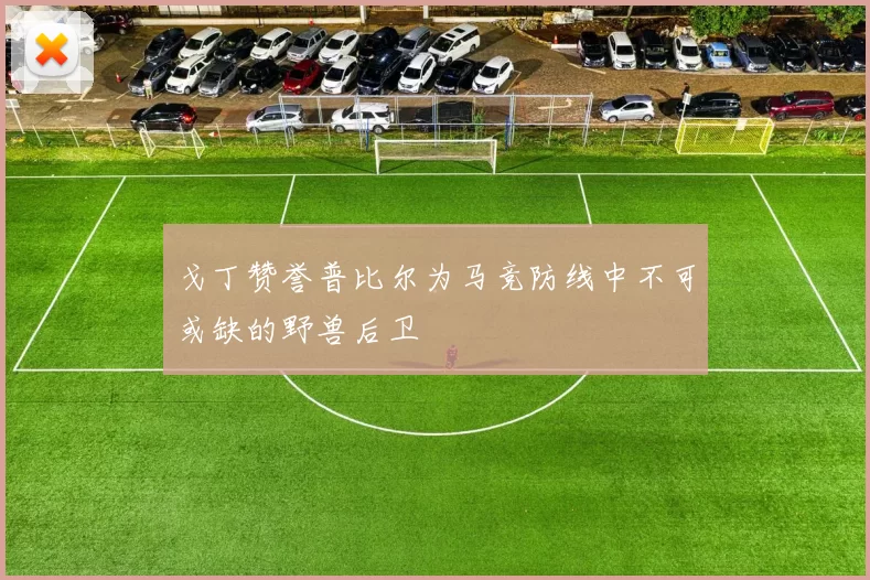 戈丁赞誉普比尔为马竞防线中不可或缺的野兽后卫