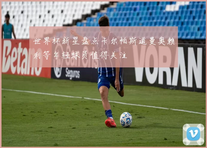 世界杯新星盘点卡尔帕斯道曼奥赖利等年轻球员值得关注